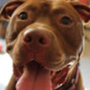 Meet your Posher, Kylie